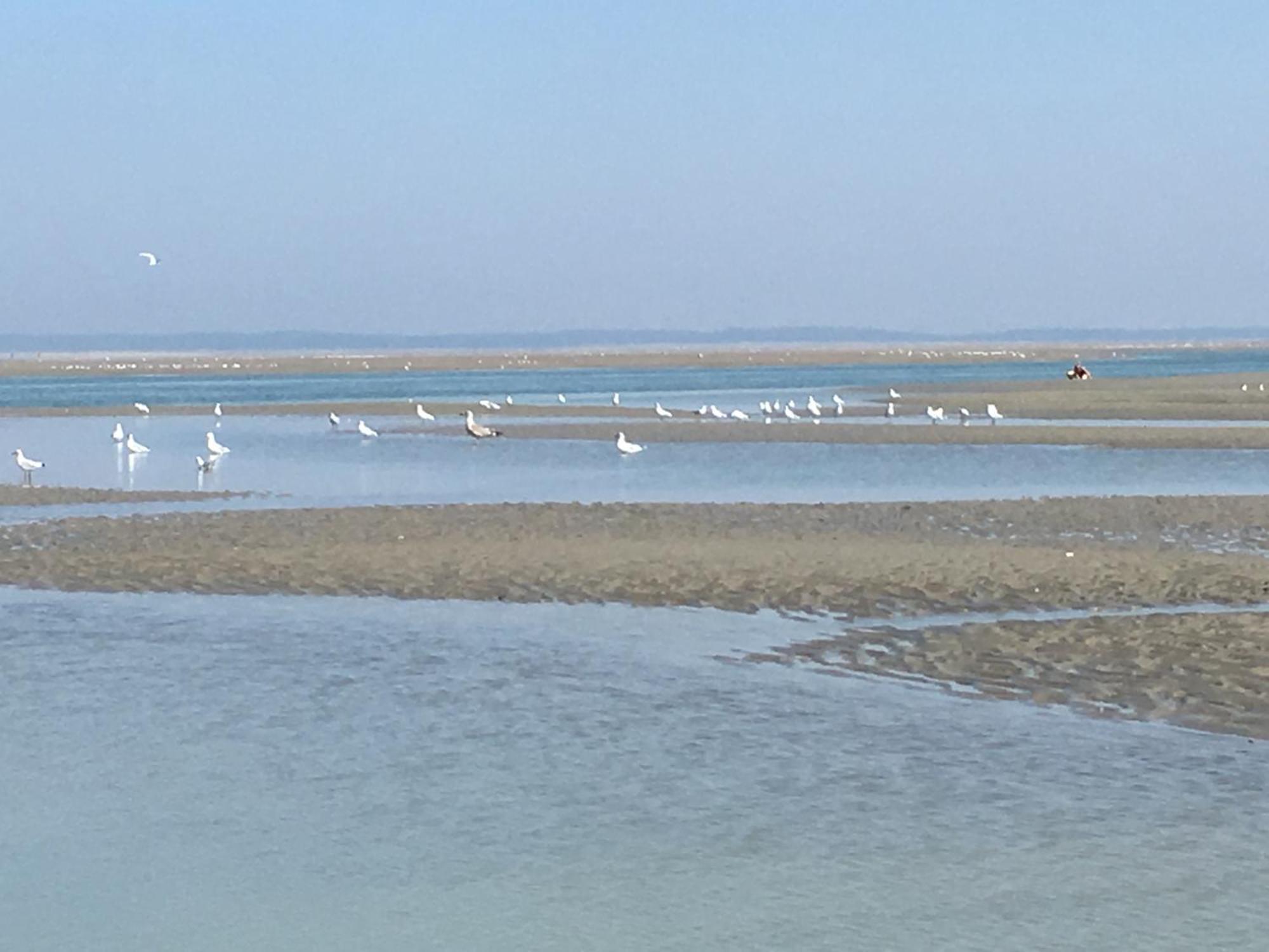 Maison De Pecheur Renovee A 3 Mn De La Mer. Cayeux-sur-Mer Ngoại thất bức ảnh