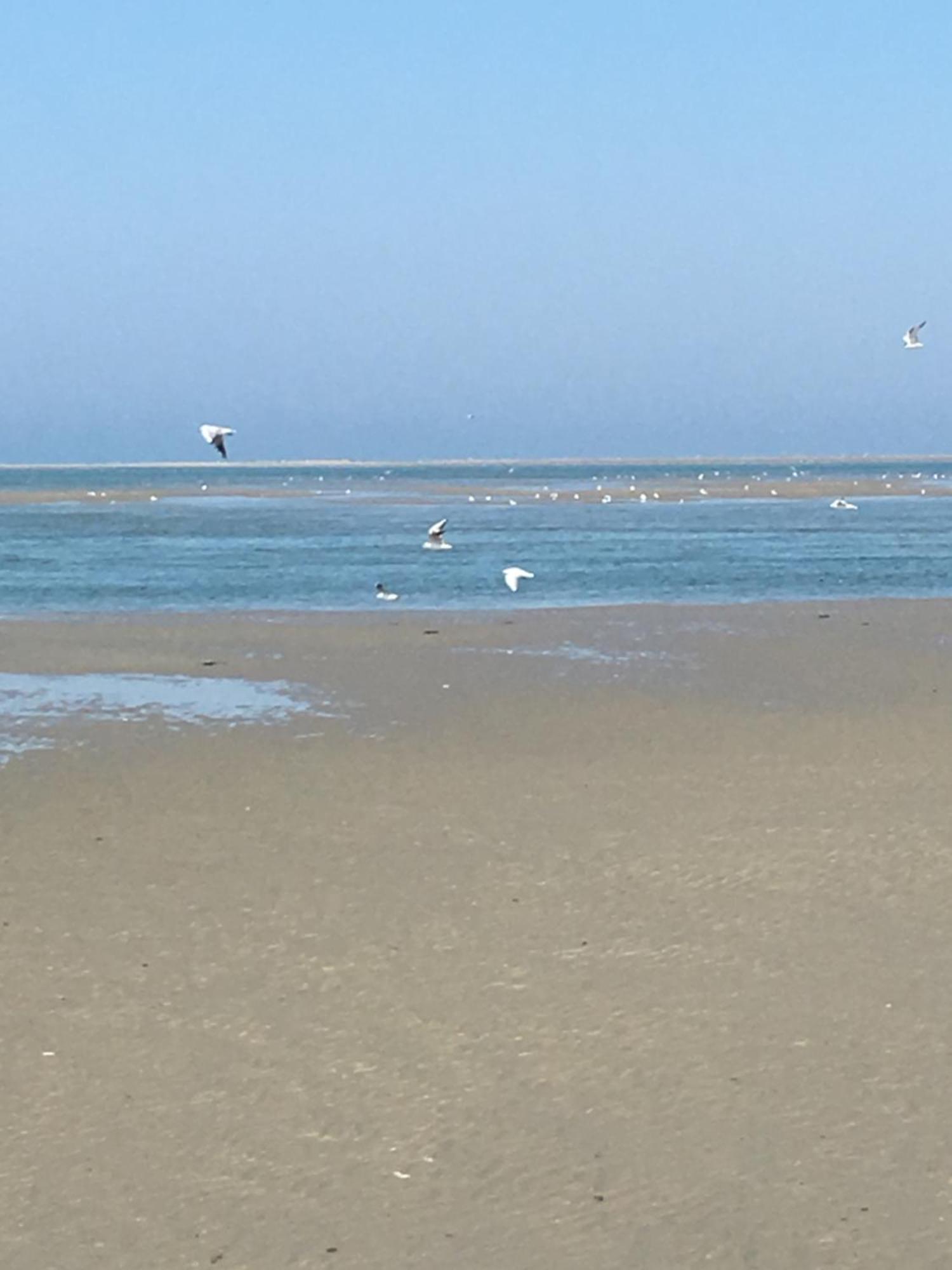 Maison De Pecheur Renovee A 3 Mn De La Mer. Cayeux-sur-Mer Ngoại thất bức ảnh