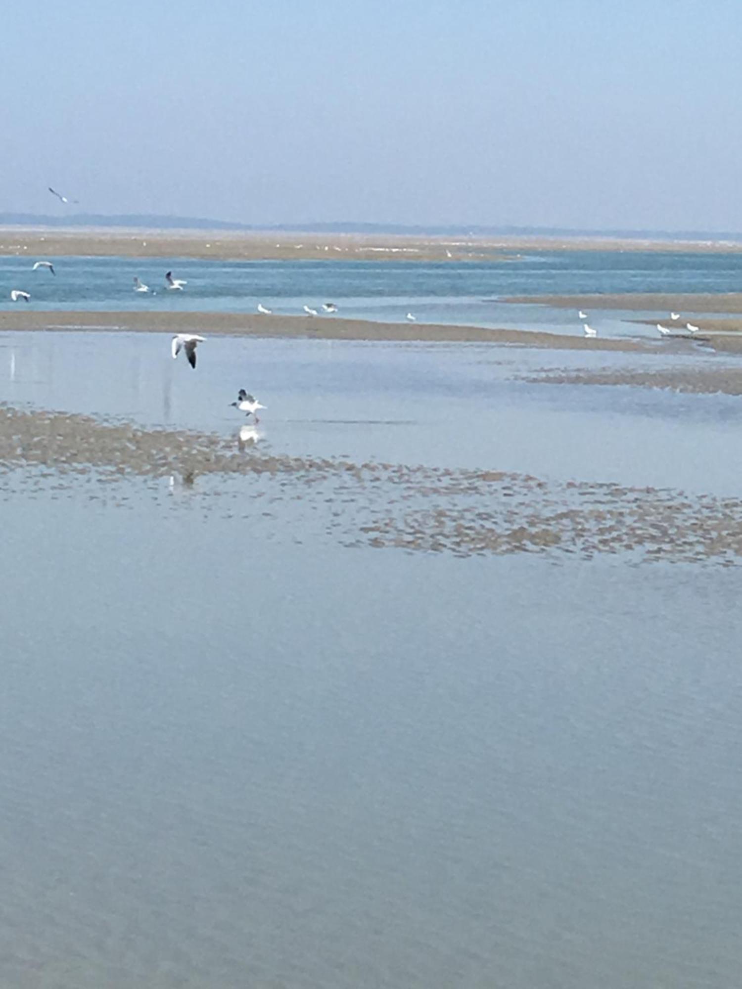 Maison De Pecheur Renovee A 3 Mn De La Mer. Cayeux-sur-Mer Ngoại thất bức ảnh