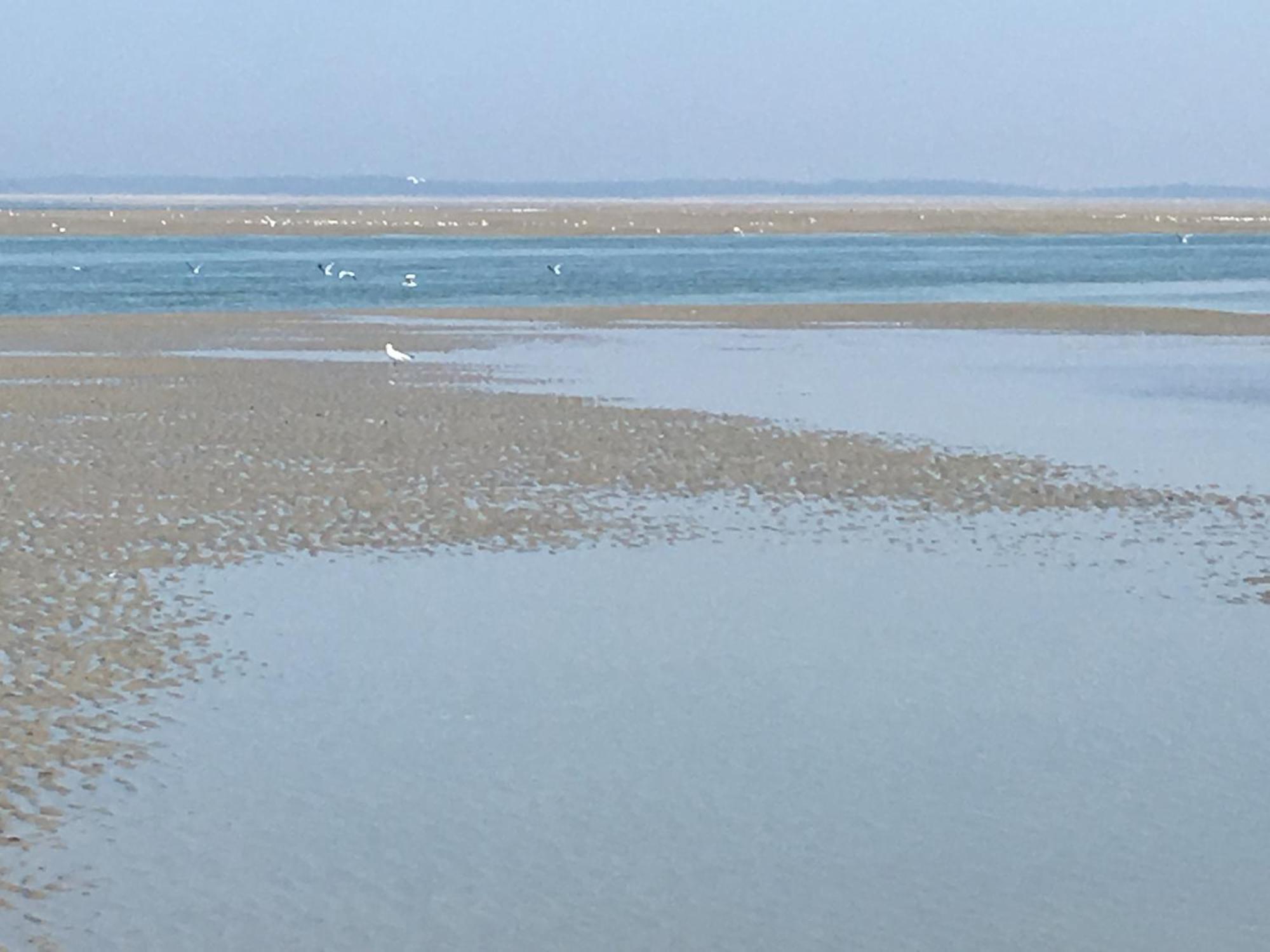 Maison De Pecheur Renovee A 3 Mn De La Mer. Cayeux-sur-Mer Ngoại thất bức ảnh
